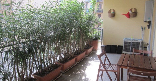 Bilocale con terrazzo in affitto Milano - Via Vittoria Colonna